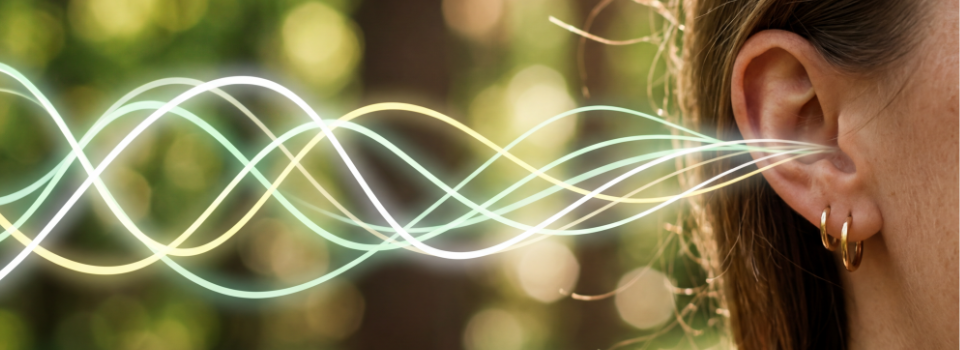 Tinnitus ganzheitlich behandeln